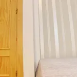 Santa Teresa Segunda Planta Apartment Conil De La Frontera